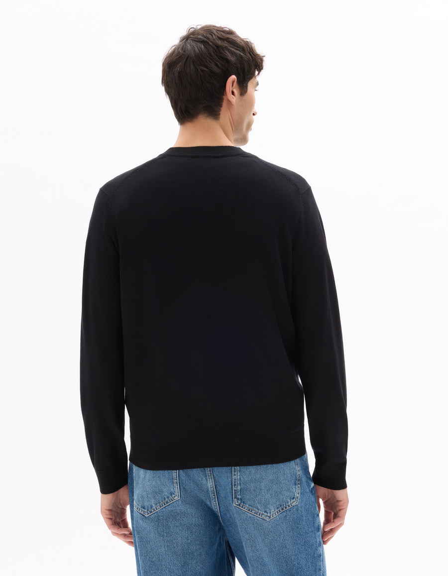 Regular Fit Poly Viscose Solid V Neck Sweaters - Black