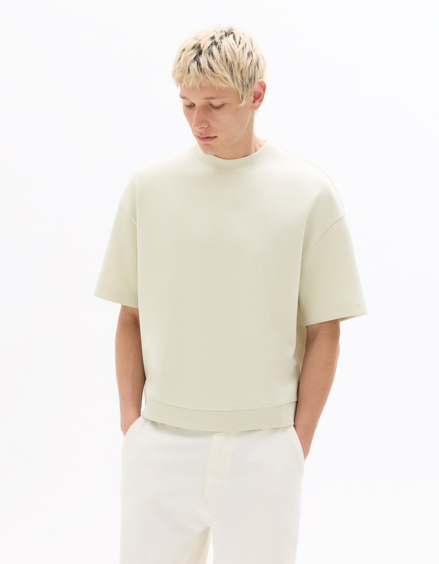 Regular Fit Poly-Cotton Solid Round neck Sweaters
