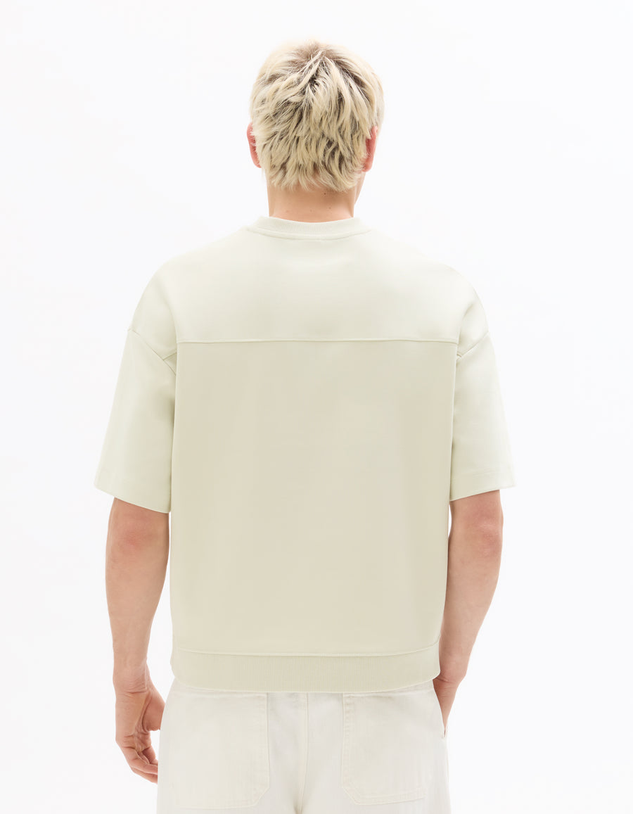 Regular Fit Poly-Cotton Solid Round neck Sweaters