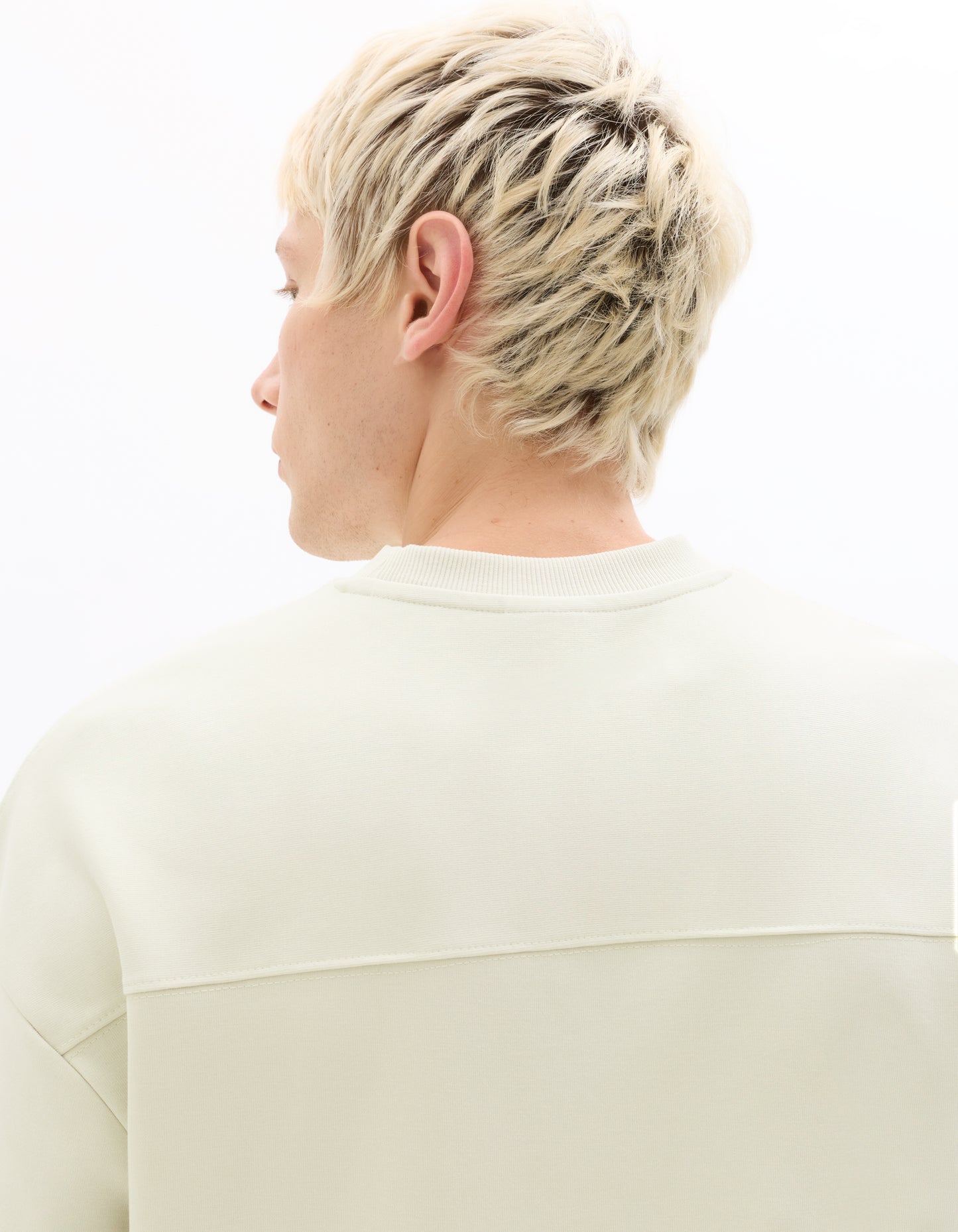 Regular Fit Poly-Cotton Solid Round neck Sweaters