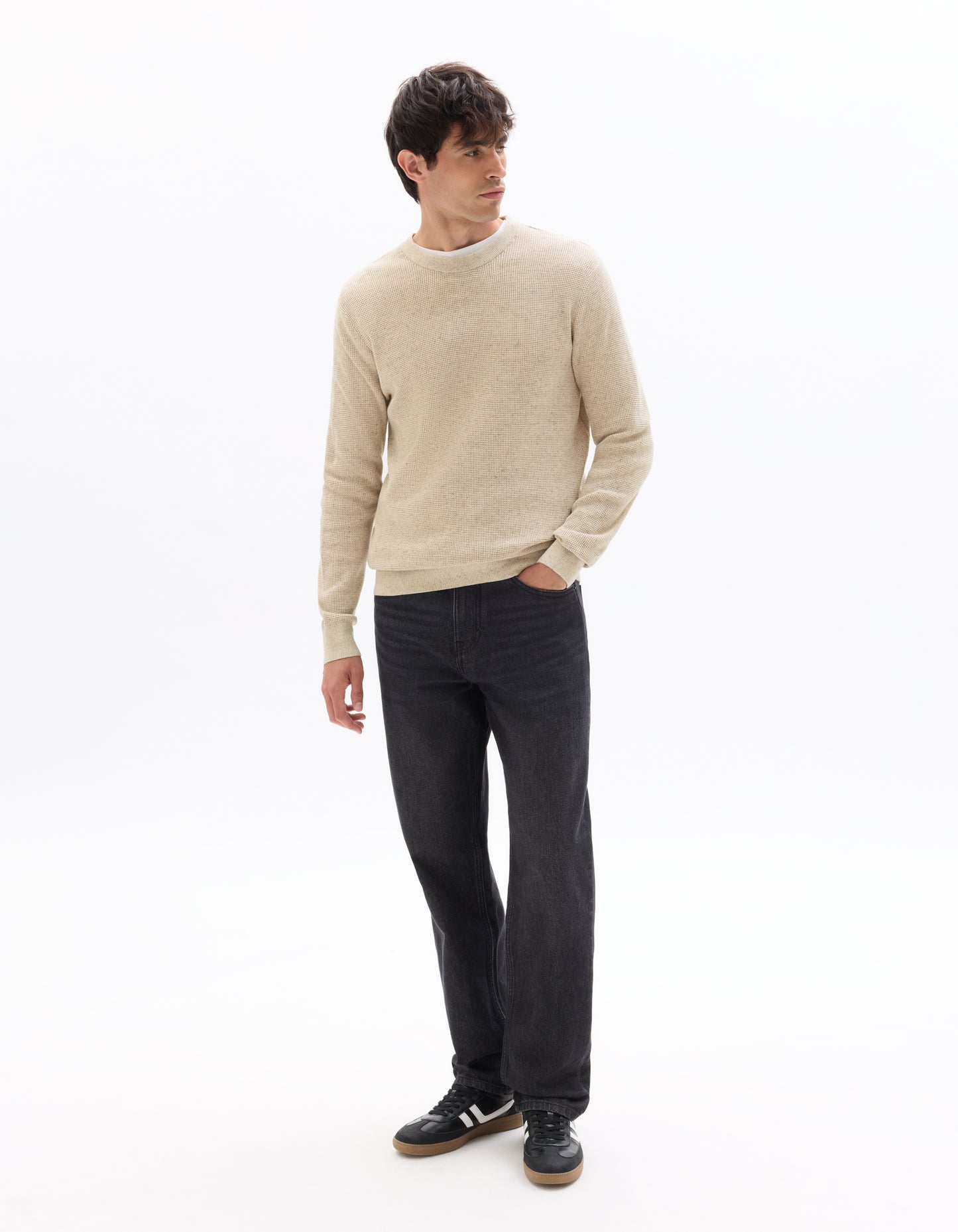 Regular Fit Poly-Cotton Textured Crew Neck Sweaters