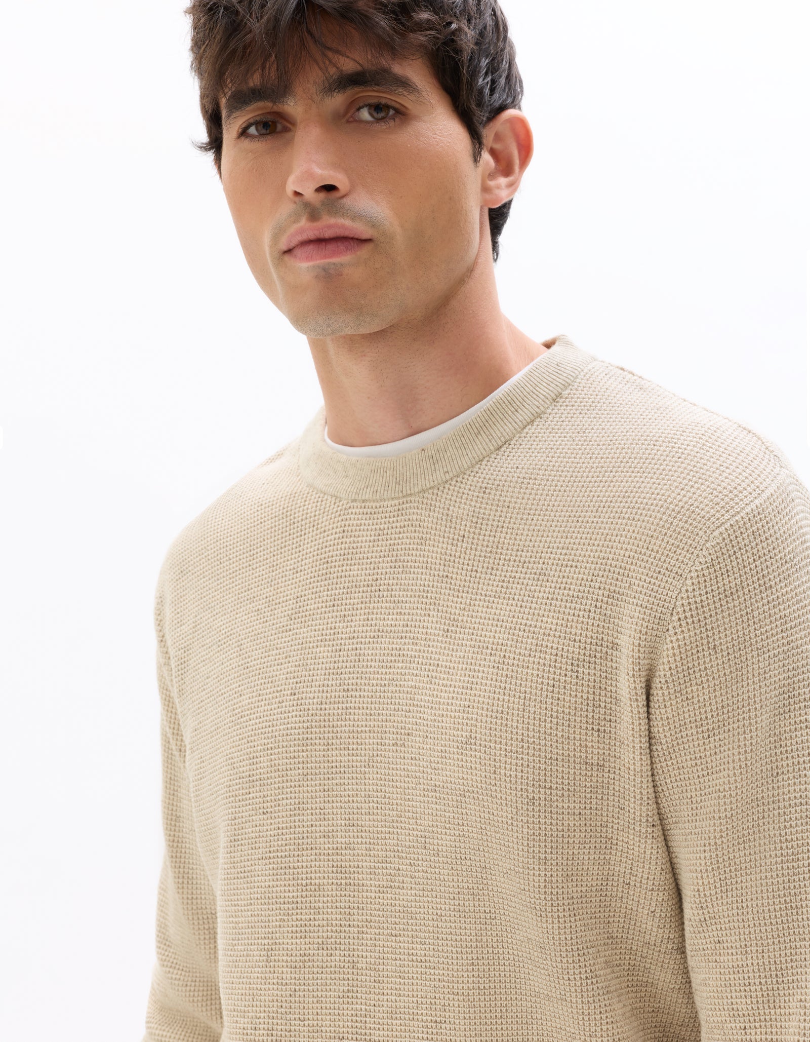 Regular Fit Poly-Cotton Textured Crew Neck Sweaters