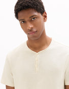 Regular Fit 100% Cotton Solid V Neck T-Shirts