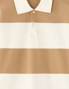 Regular Fit 100% Cotton Striped Polo Collar T Shirts - Beige