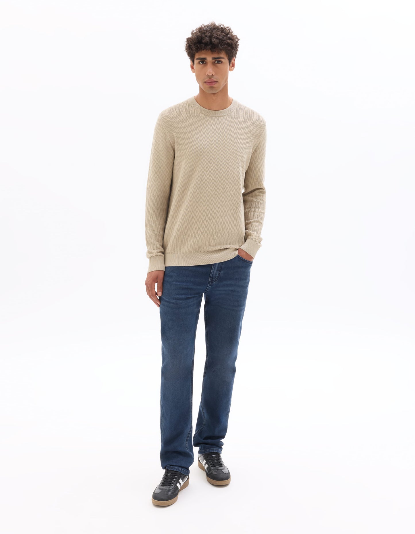 Regular Fit 100% Cotton Crew Neck Sweaters - Beige