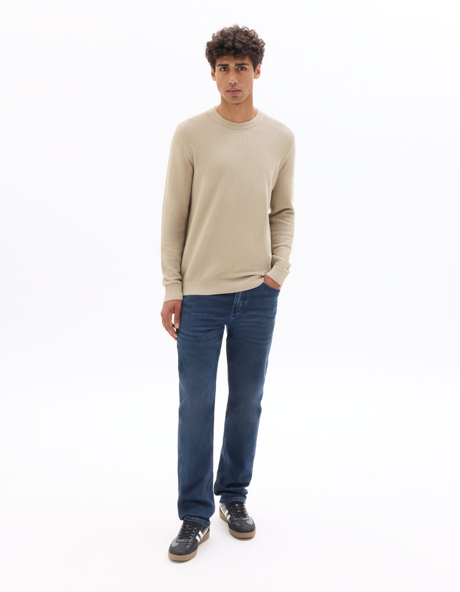 Regular Fit 100% Cotton Crew Neck Sweaters - Beige