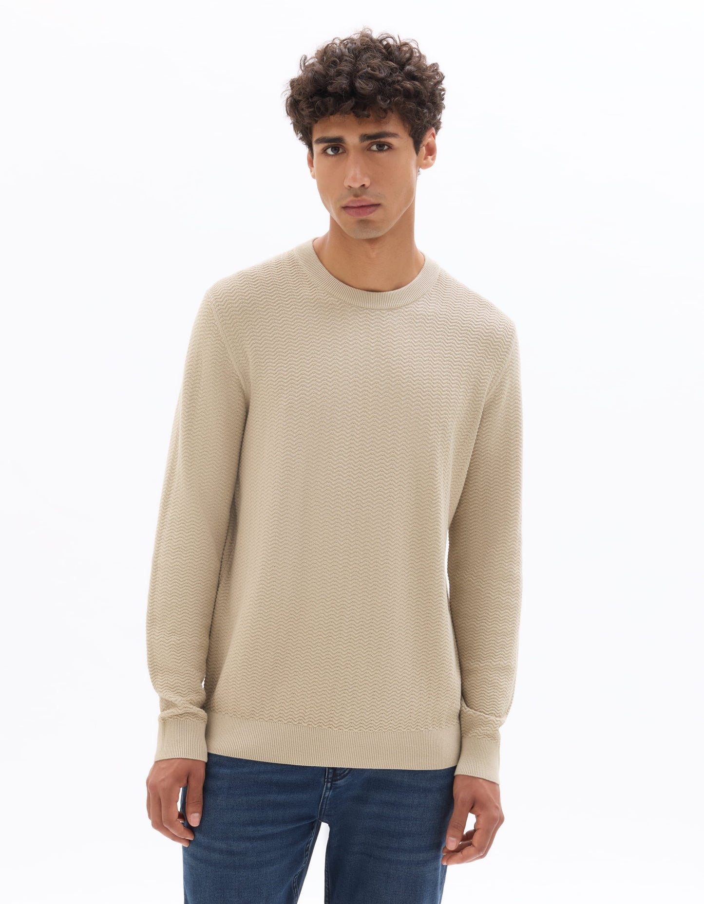 Regular Fit 100% Cotton Crew Neck Sweaters - Beige