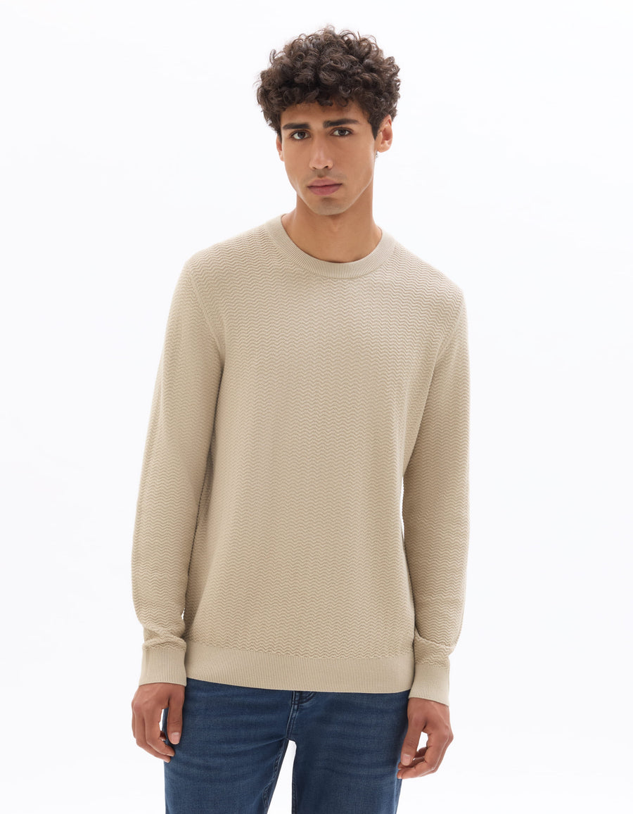 Regular Fit 100% Cotton Crew Neck Sweaters - Beige