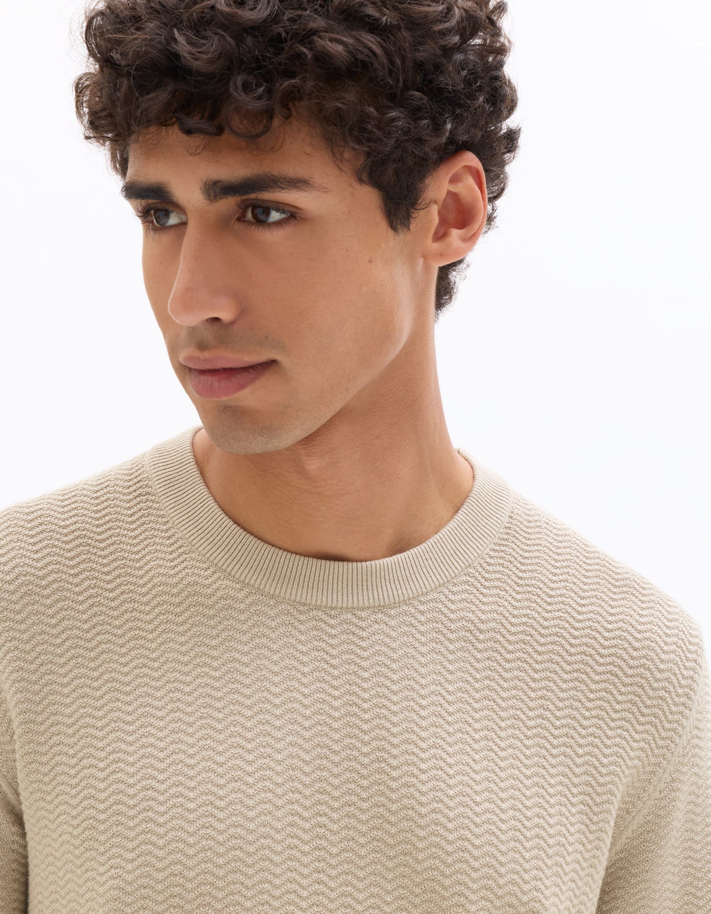 Regular Fit 100% Cotton Crew Neck Sweaters - Beige