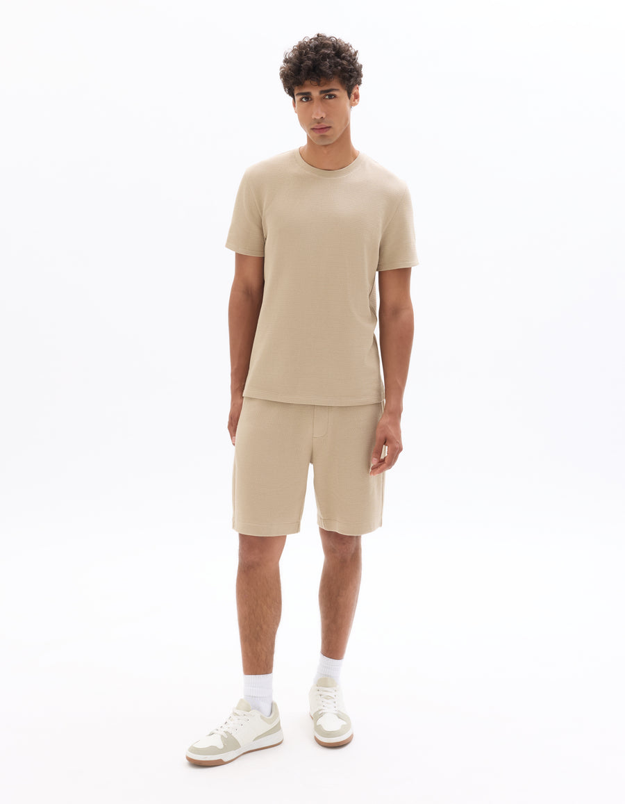 Regular Fit 100% Cotton Textured Crew Neck T-Shirts