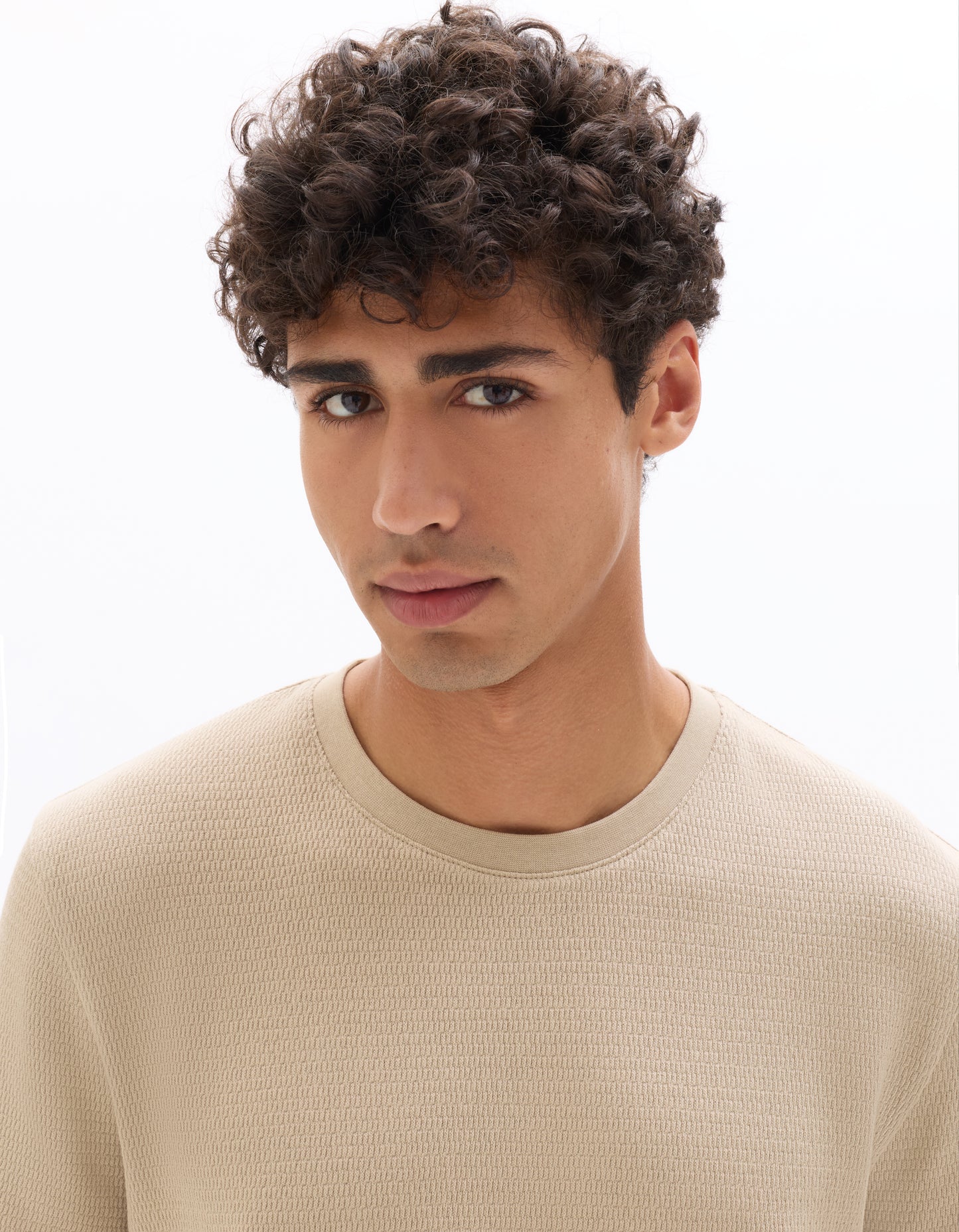 Regular Fit 100% Cotton Textured Crew Neck T-Shirts