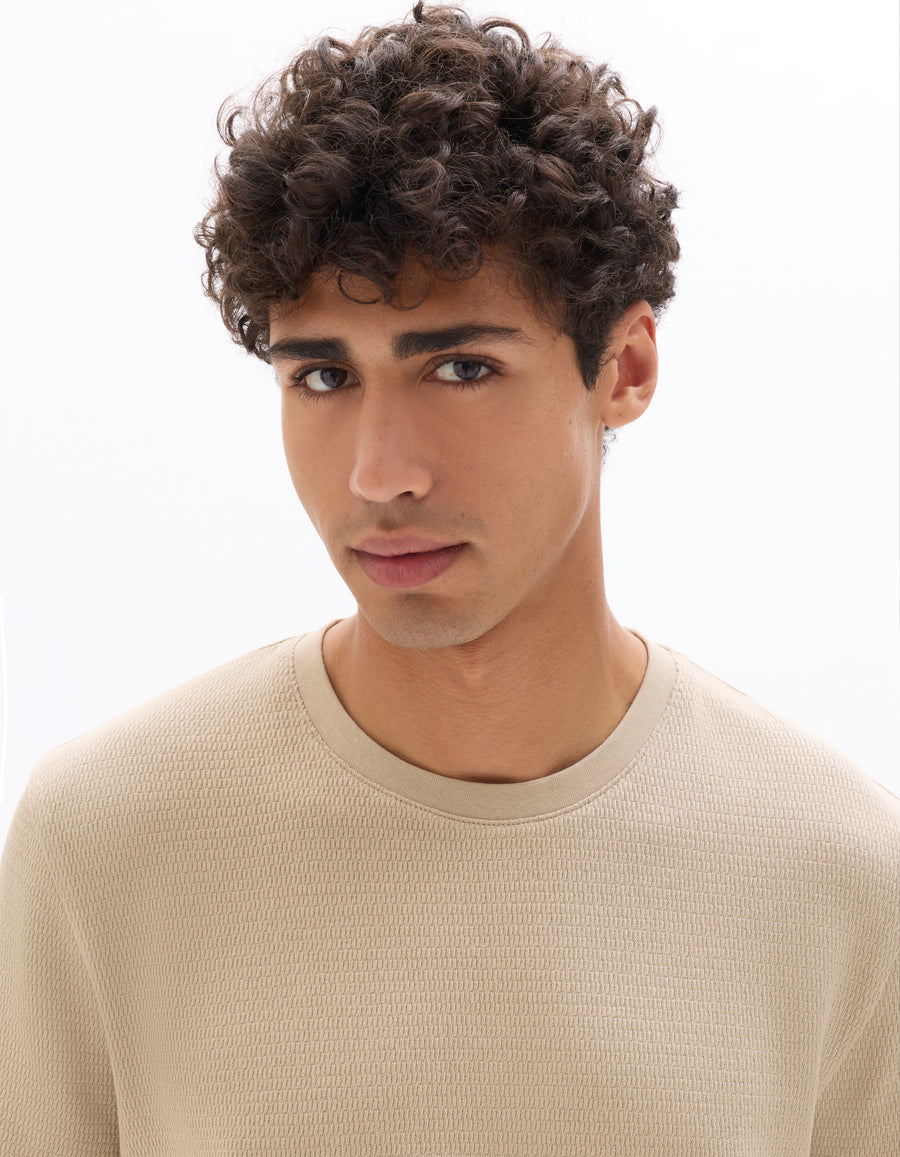 Regular Fit 100% Cotton Textured Crew Neck T-Shirts