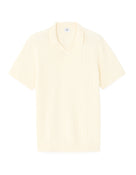 Regular Fit 100% Cotton Solid Polo Collar T-Shirts