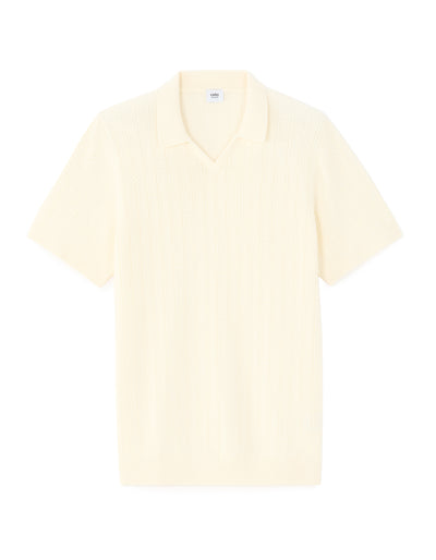 Regular Fit 100% Cotton Solid Polo Collar T-Shirts