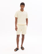Regular Fit 100% Cotton Solid Polo Collar T-Shirts
