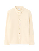 Regular Fit 100% Cotton Solid Spread collar Shirts