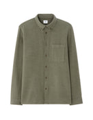 Regular Fit 100% Cotton Solid Spread collar Shirts