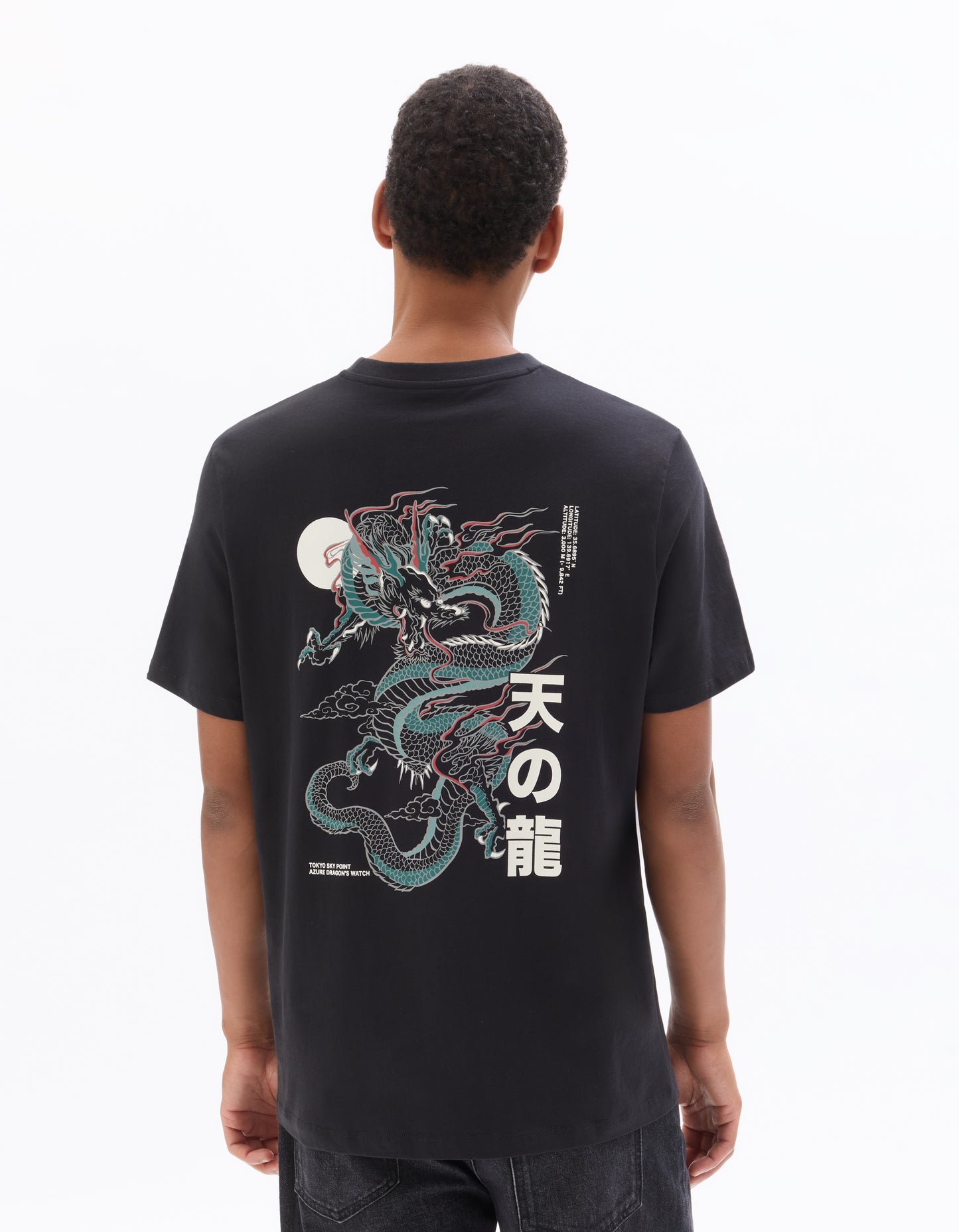 Regular Fit 100% Cotton Printed Crew Neck T-Shirts - Black