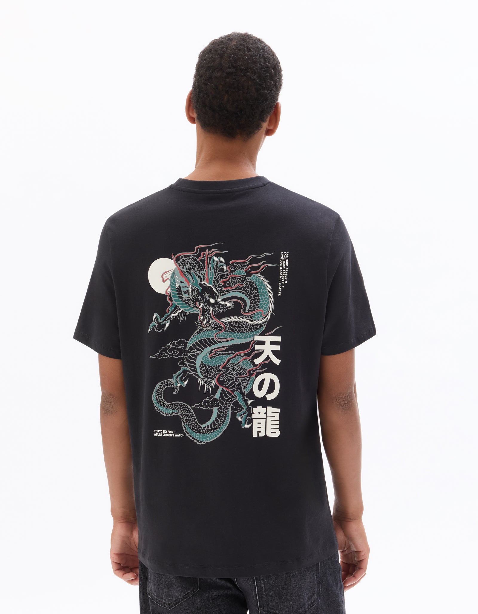 Regular Fit 100% Cotton Printed Crew Neck T-Shirts - Black