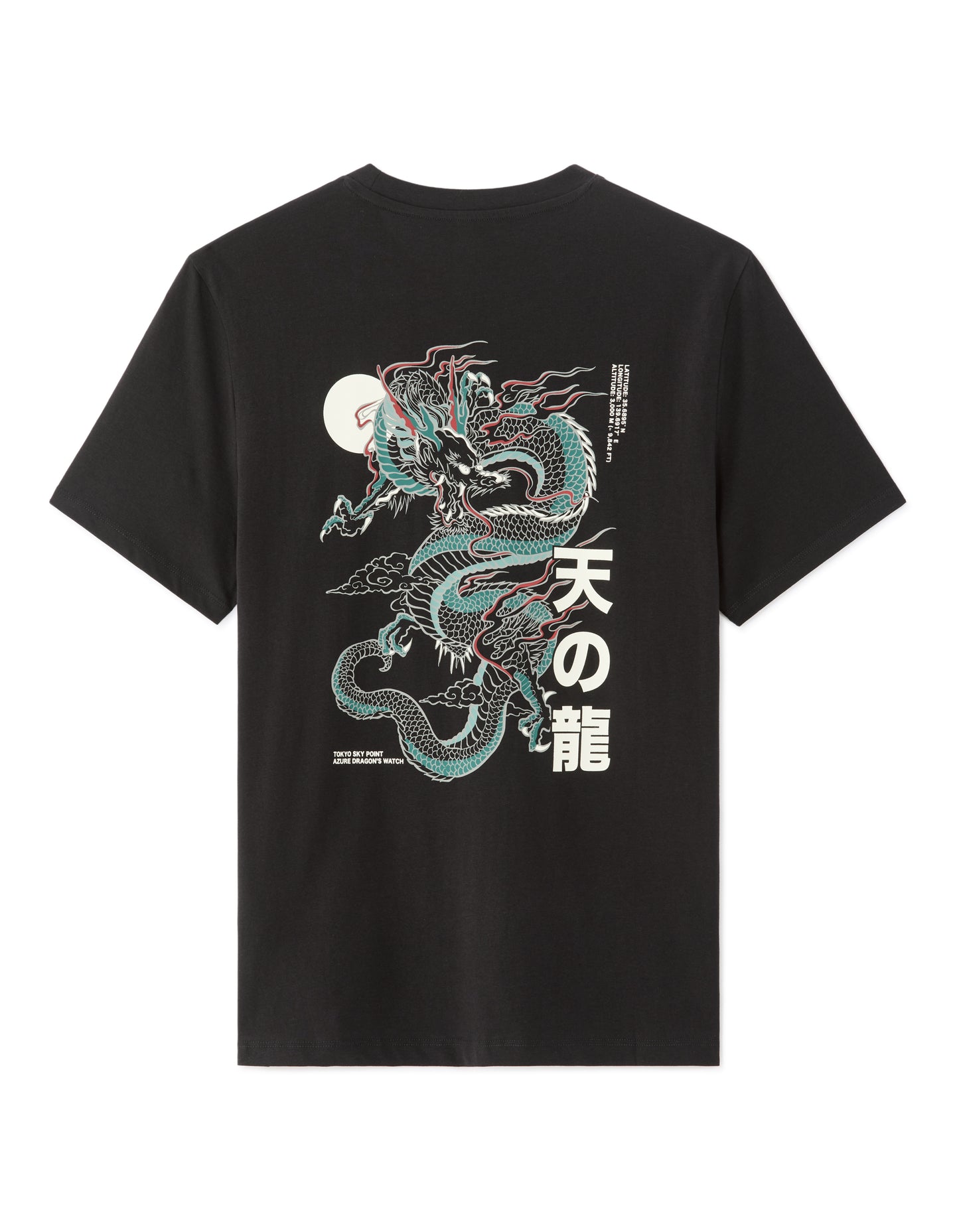 Regular Fit 100% Cotton Printed Crew Neck T-Shirts - Black