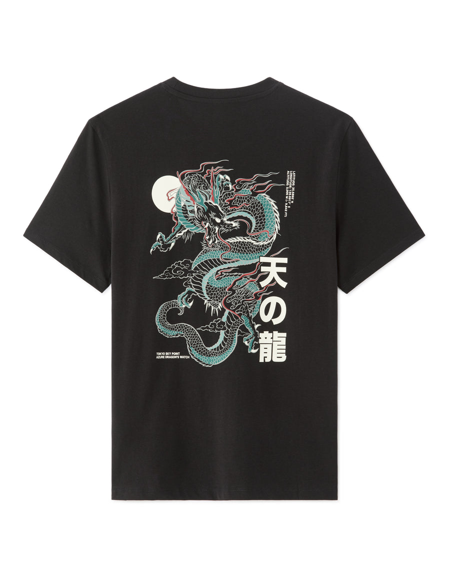 Regular Fit 100% Cotton Printed Crew Neck T-Shirts - Black