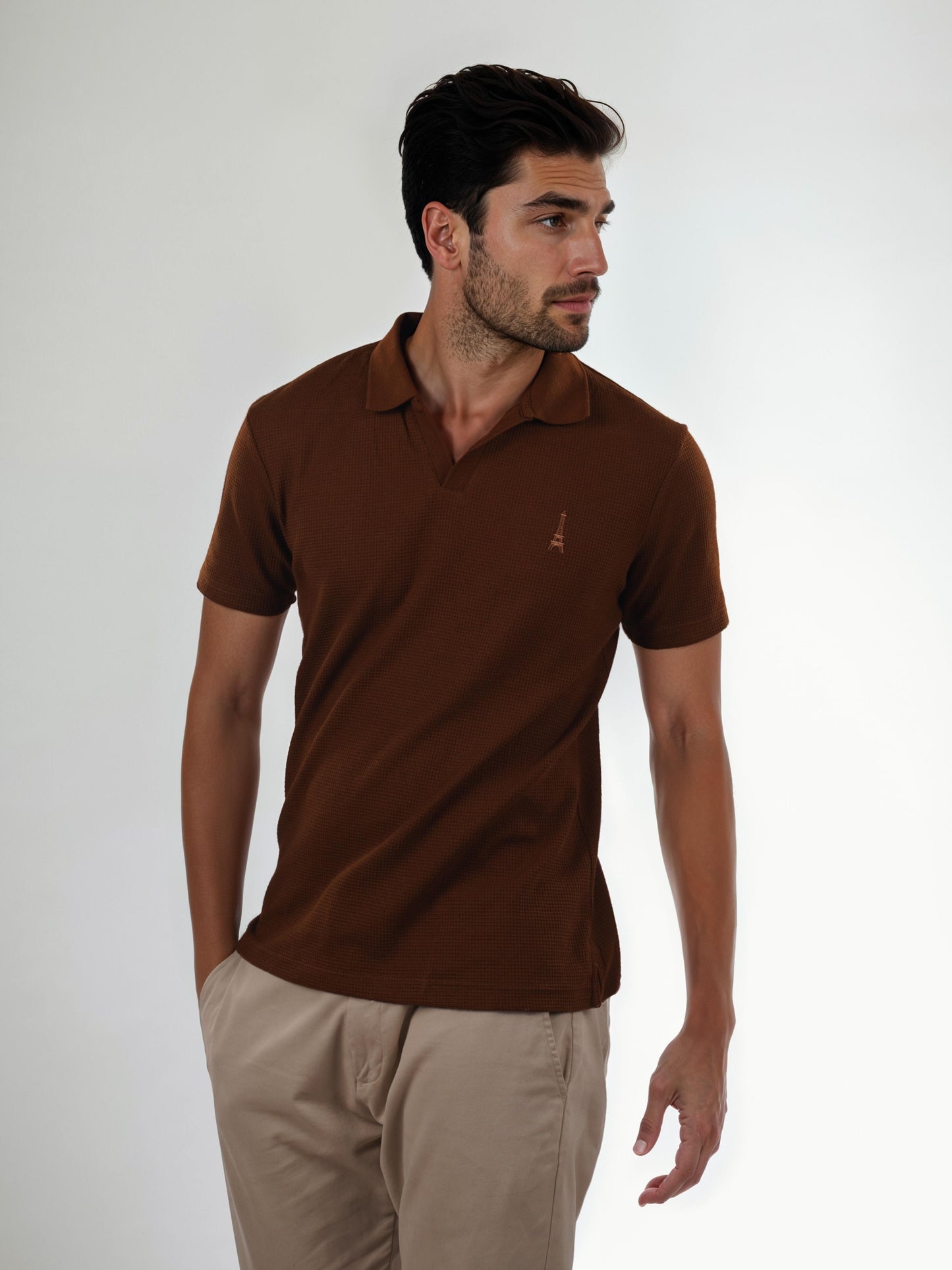 Brown Solid Cotton Polo