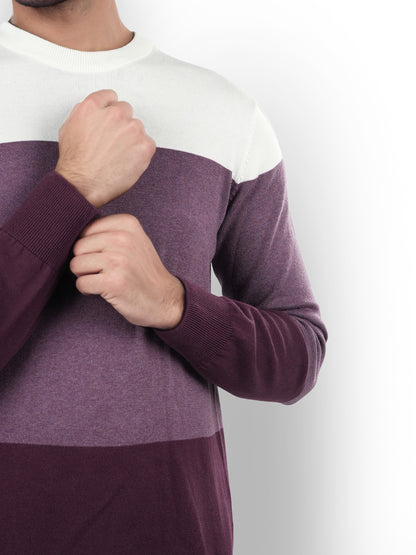 Purple Colourblock Cotton Sweater