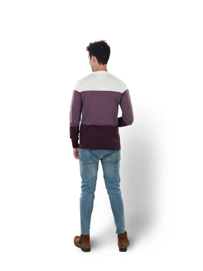 Purple Colourblock Cotton Sweater