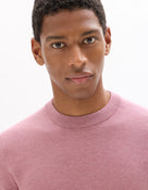 Regular Fit 100% Cotton Crew Neck Sweaters - Pink