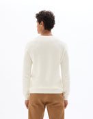 Regular Fit 100% Cotton Crew Neck Sweaters - Off White