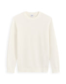 Regular Fit 100% Cotton Crew Neck Sweaters - Off White