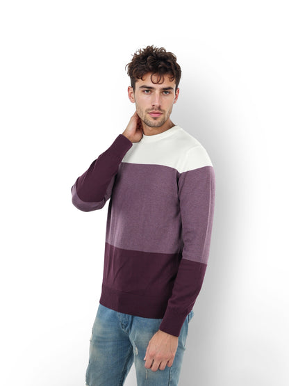 Purple Colourblock Cotton Sweater