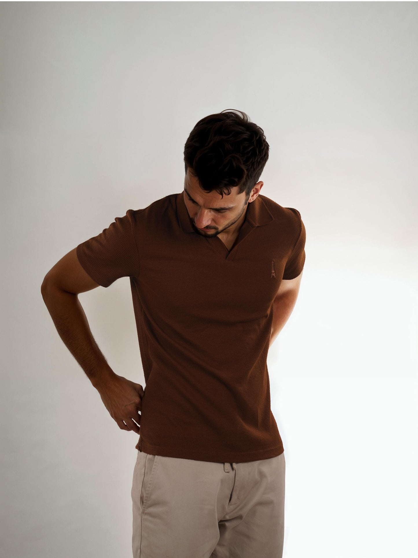 Brown Solid Cotton Polo