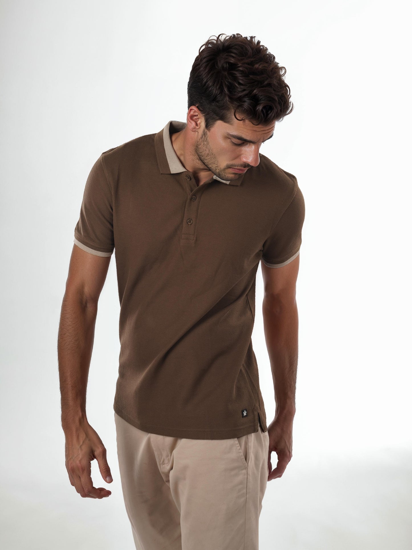 Brown Solid Cotton Polo