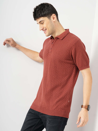 Brown Solid Cotton Polo