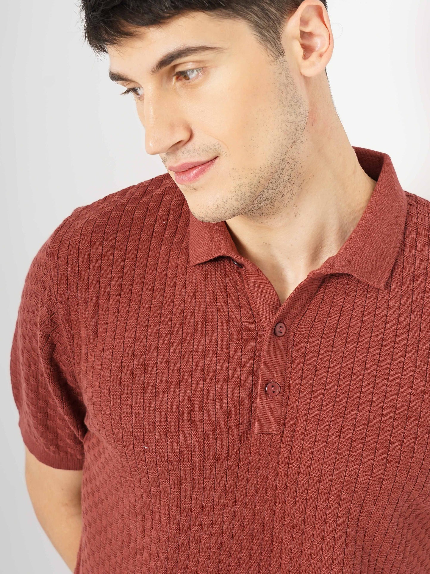 Brown Solid Cotton Polo