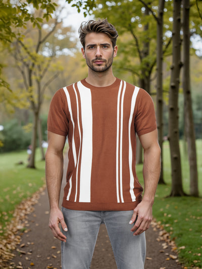 Celio* Men Brown Striped Regular Fit Cotton T-shirt