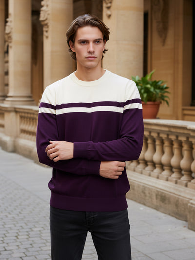 Celio* Men Purple Colourblocked Regular Fit Cotton Sweaters