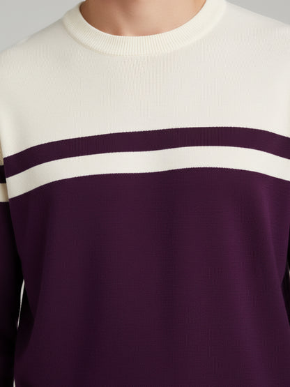 Celio Men Purple Colourblocked Regular Fit Cotton Sweaters