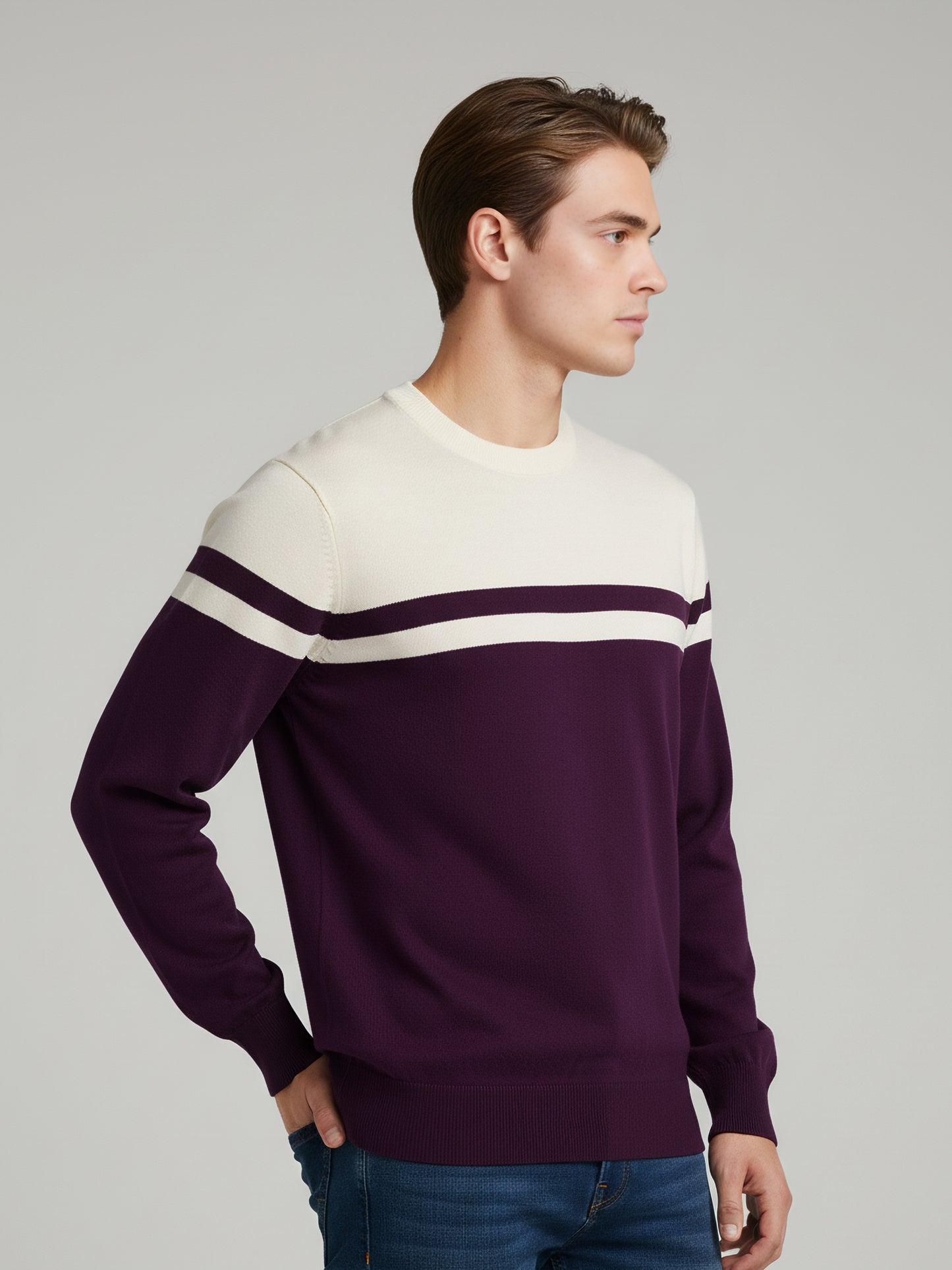 Celio Men Purple Colourblocked Regular Fit Cotton Sweaters