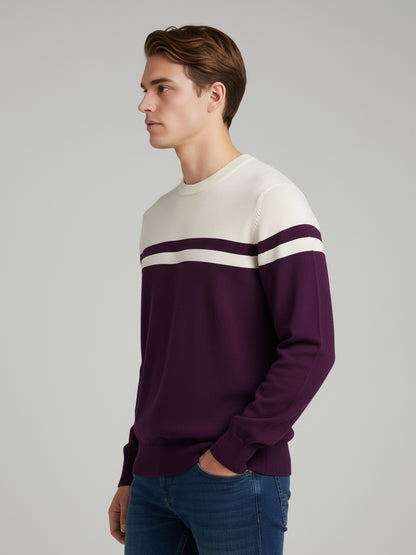Celio Men Purple Colourblocked Regular Fit Cotton Sweaters