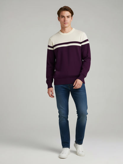 Celio Men Purple Colourblocked Regular Fit Cotton Sweaters