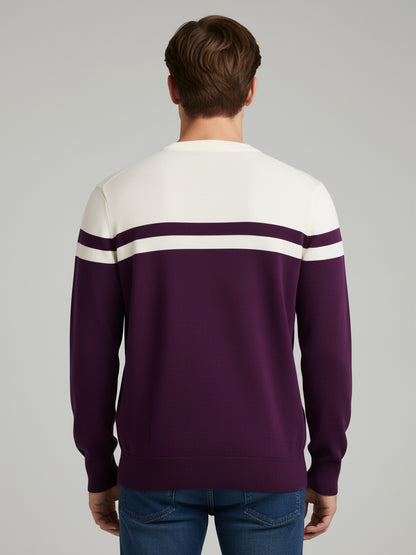 Celio Men Purple Colourblocked Regular Fit Cotton Sweaters