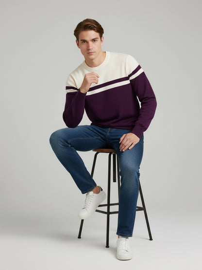 Celio Men Purple Colourblocked Regular Fit Cotton Sweaters