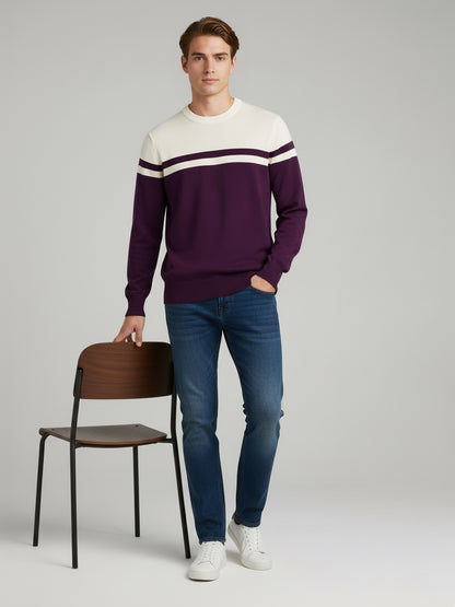 Celio Men Purple Colourblocked Regular Fit Cotton Sweaters