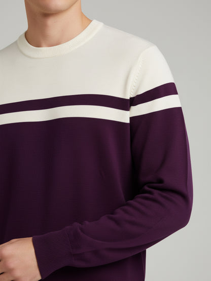 Celio Men Purple Colourblocked Regular Fit Cotton Sweaters