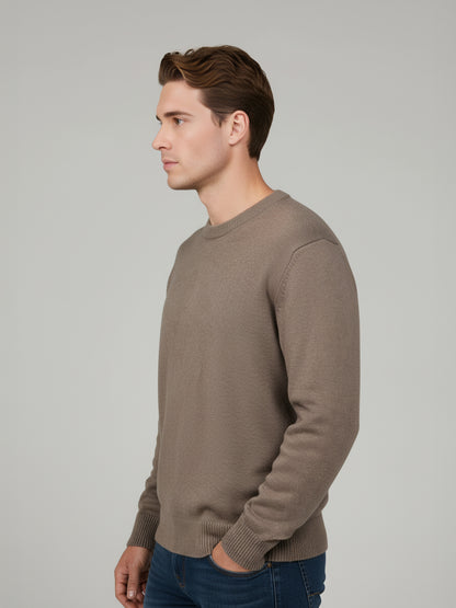 Celio* Men Beige Solid Regular Fit Cotton Sweaters