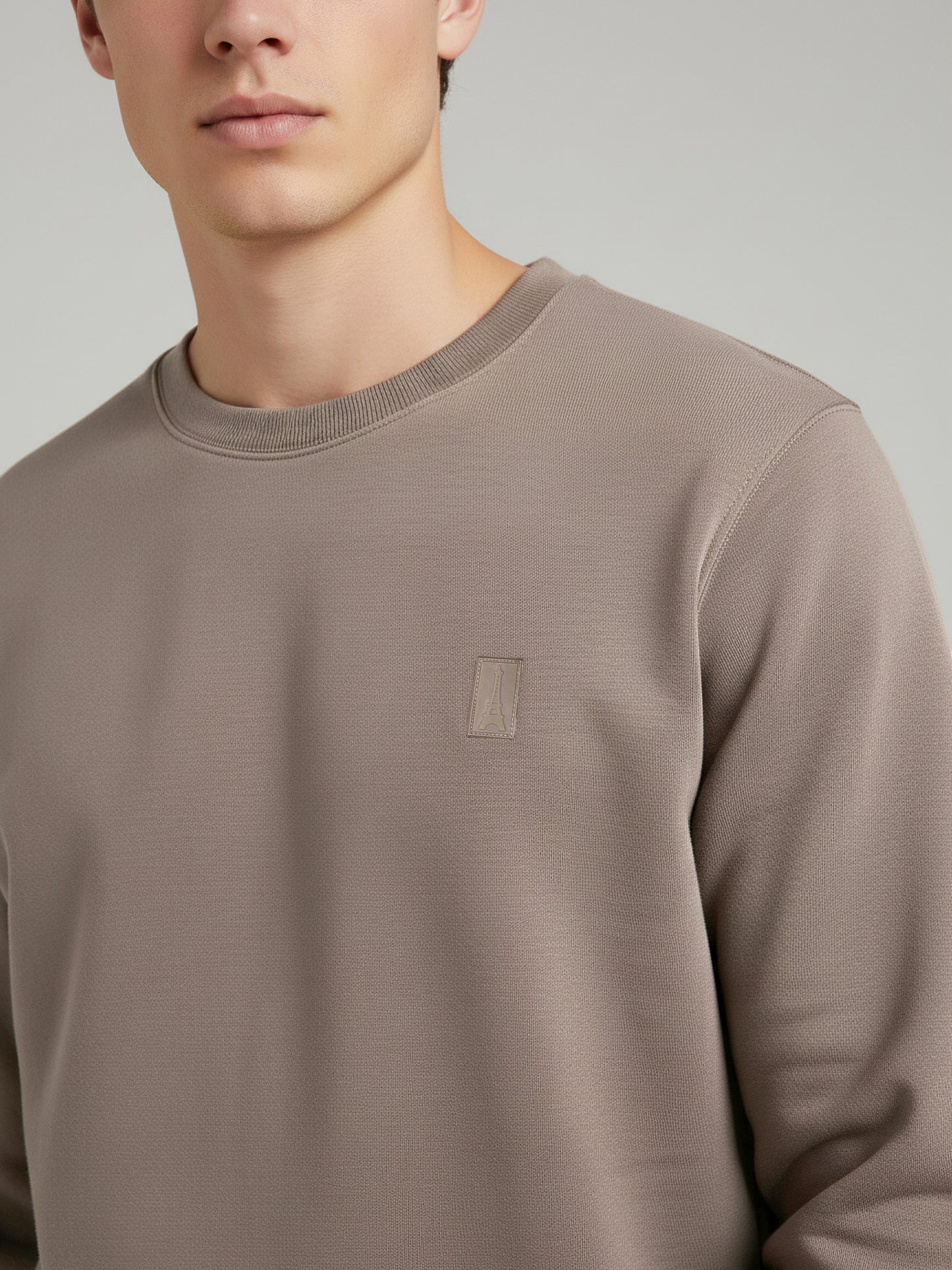 Celio Men Taupe Solid Regular Fit Cotton Sweatshirts