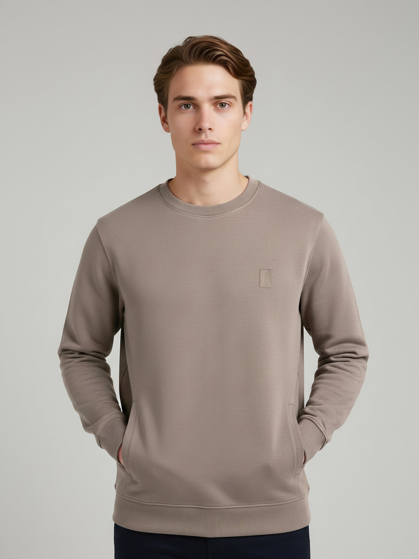 Celio Men Taupe Solid Regular Fit Cotton Sweatshirts