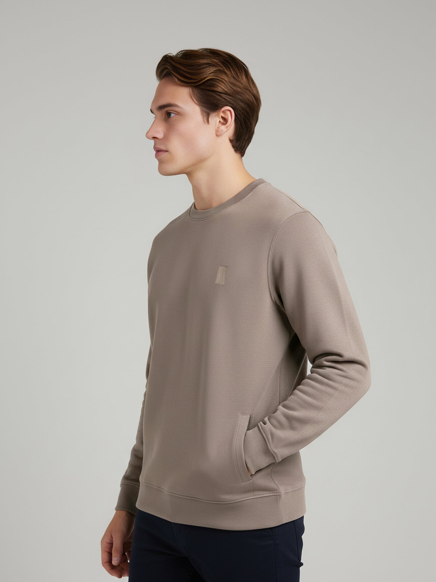 Celio Men Taupe Solid Regular Fit Cotton Sweatshirts